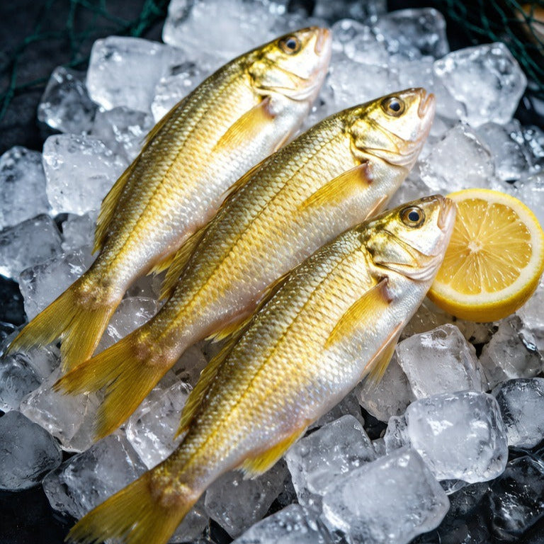 Fresh Yellow Croaker (Wild, 75–100g)
